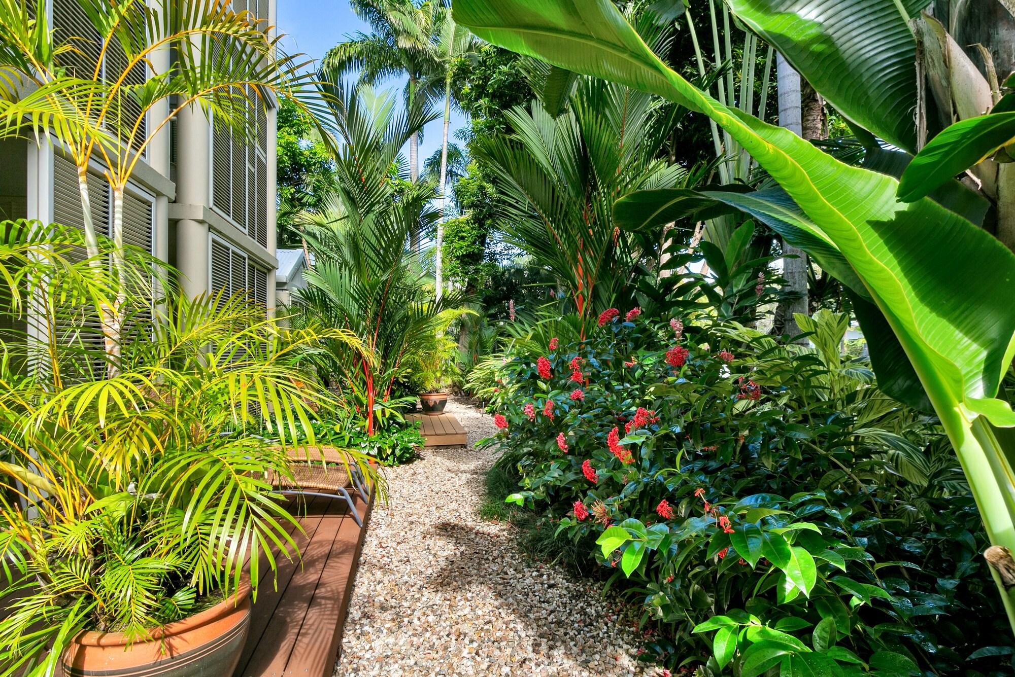 Port Douglas Apartments - Adults Only Oasis Екстер'єр фото